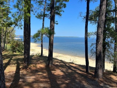 Lake Sam Rayburn  Lot For Sale in Brookeland Texas