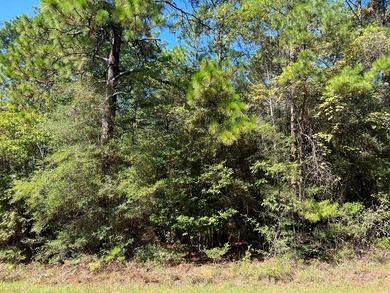 Lake Sam Rayburn  Lot For Sale in Brookeland Texas