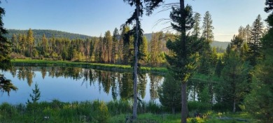 (private lake, pond, creek) Acreage For Sale in Seeley Lake Montana