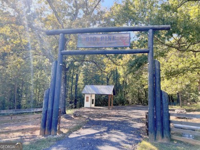 (private lake, pond, creek) Acreage For Sale in Franklin Georgia