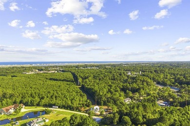 Introducing a beautifully designed to-be-built semi-custom home - photo 33