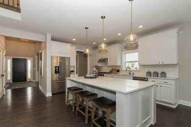 Welcome home! Stunning NEW CONSTRUCTION to be built in Lemont's - photo 3
