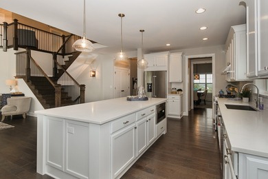 Welcome home! Stunning NEW CONSTRUCTION to be built in Lemont's - photo 4