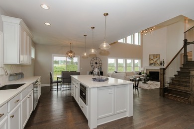 Welcome home! Stunning NEW CONSTRUCTION to be built in Lemont's - photo 5