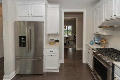 Welcome home! Stunning NEW CONSTRUCTION to be built in Lemont's - photo 7
