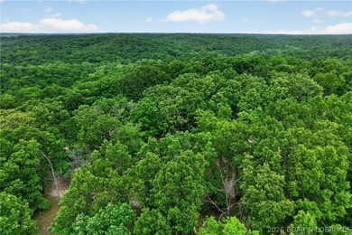 GREAT VALUE! Beautiful home on 4.49+ wooded acres with deeded - photo 39
