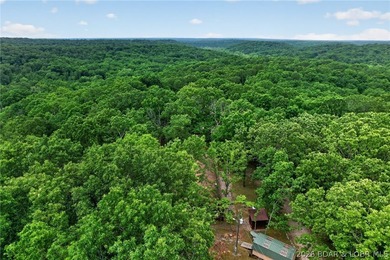 GREAT VALUE! Beautiful home on 4.49+ wooded acres with deeded - photo 40