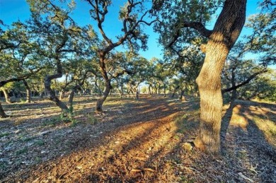 (private lake, pond, creek) Lot For Sale in Wimberley Texas