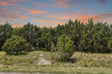 (private lake, pond, creek) Acreage For Sale in Bertram Texas