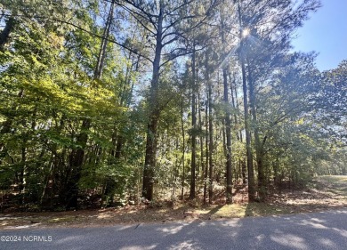 Lake Lot For Sale in Wagram, North Carolina