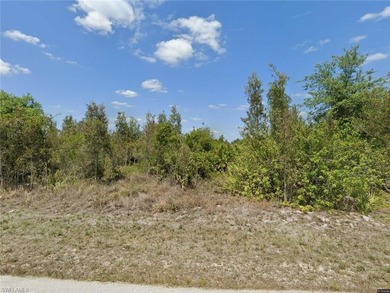 Lehigh Acres Area Lot For Sale in Lehigh Acres Florida