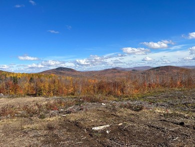 This property spans over 17 acres and offers distant mountain - photo 2