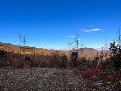 This property spans over 17 acres and offers distant mountain - photo 3