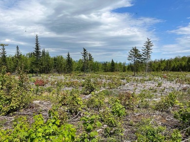 This property spans over 17 acres and offers distant mountain - photo 4