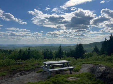 This property spans over 17 acres and offers distant mountain - photo 6