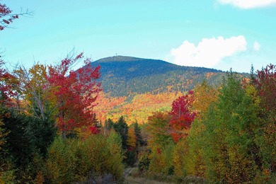 This property spans over 17 acres and offers distant mountain - photo 8