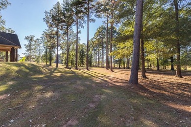 Experience peaceful waterfront living with this custom-built - photo 49