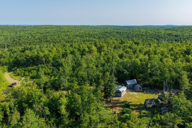 Welcome to 498 Freedom Road in Prentiss, Maine, an affordable - photo 1