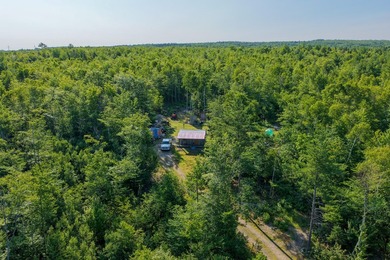 Welcome to 498 Freedom Road in Prentiss, Maine, an affordable - photo 2