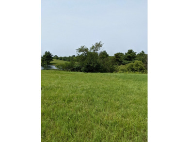 (private lake, pond, creek) Lot For Sale in Secor Illinois