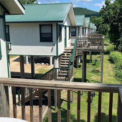 Resort located on renowned trout fishing White River in the - photo 11