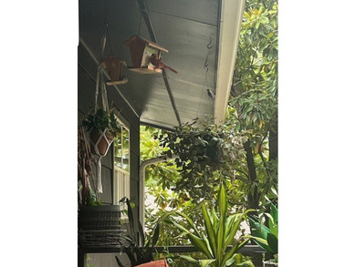 Seller finance available. 3B/2B w/ 2 additional flex rooms - photo 44