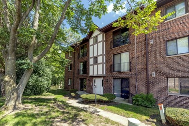 (private lake, pond, creek) Condo For Sale in Naperville Illinois