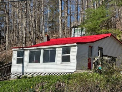 Lake Home For Sale in Springfield, New York