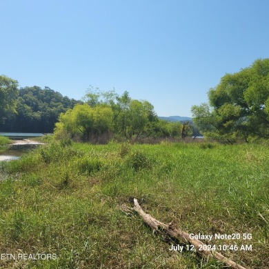 (private lake, pond, creek) Acreage For Sale in Tazewell Tennessee