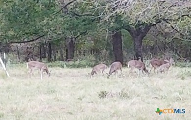 Discover 347.01 acres of pristine Central Texas countryside - photo 14