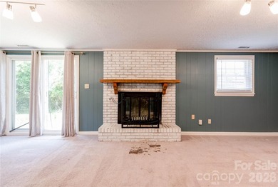 Spacious 3 Bedroom, 3 Bath brick split-level home offers room to - photo 26