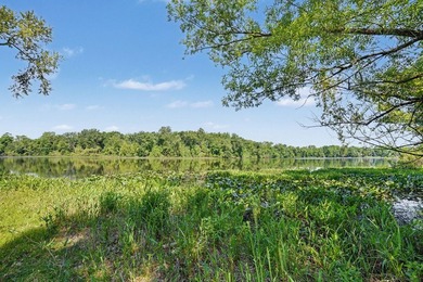 St. Joseph River frontage - 188 ft private access with dock - on - photo 30