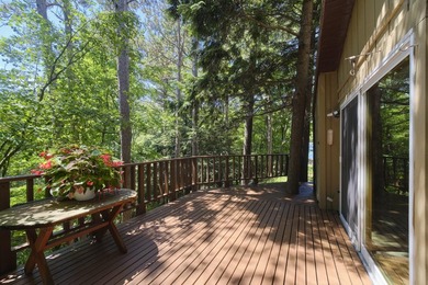 Solitude, sunsets and miles of sandy beach! A paved driveway - photo 33