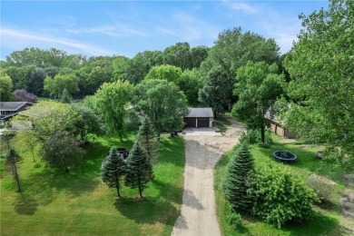 Lake Home For Sale in Hale Twp, Minnesota