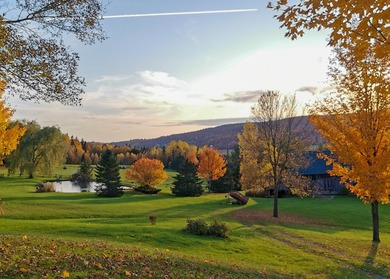 Perchee sur la colline Spring Hill, cette propriete privee - photo 30