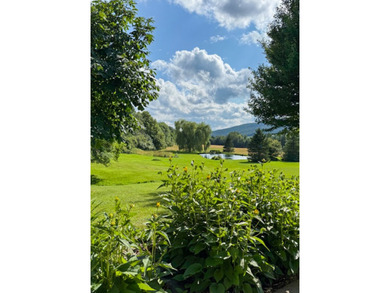 Perchee sur la colline Spring Hill, cette propriete privee - photo 32