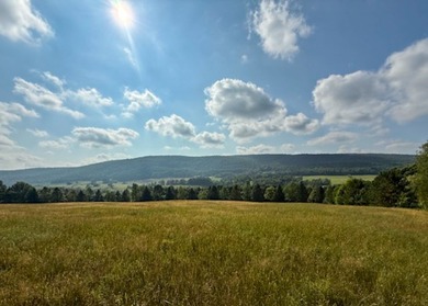 Perchee sur la colline Spring Hill, cette propriete privee - photo 33