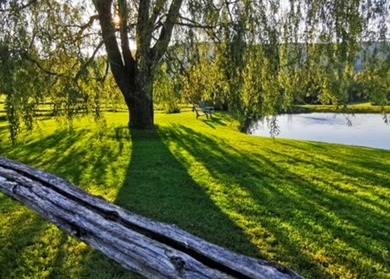 Perchee sur la colline Spring Hill, cette propriete privee - photo 35