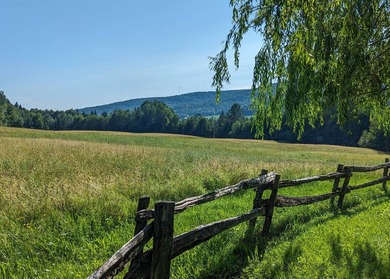 Perchee sur la colline Spring Hill, cette propriete privee - photo 36