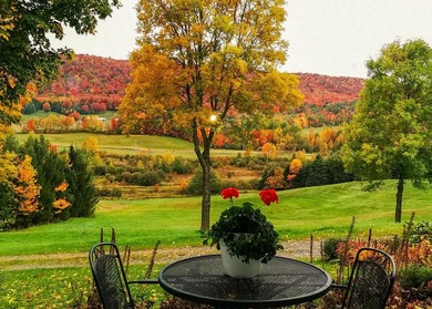 Perchee sur la colline Spring Hill, cette propriete privee - photo 37