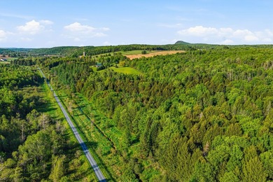 Perchee sur la colline Spring Hill, cette propriete privee - photo 43