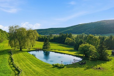 Perchee sur la colline Spring Hill, cette propriete privee - photo 45