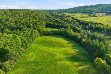 Perchee sur la colline Spring Hill, cette propriete privee - photo 47