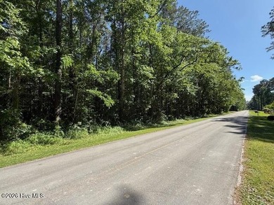 No City Taxes! Build your custom home on this 2-acre wooded lot - photo 3