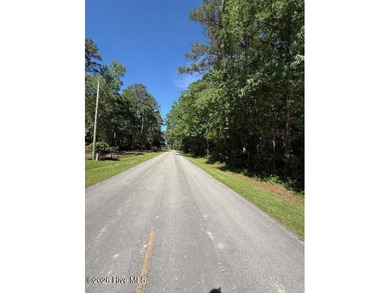 No City Taxes! Build your custom home on this 2-acre wooded lot - photo 6