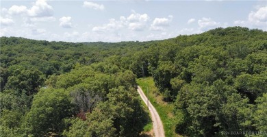 Lake of the Ozarks Acreage For Sale in Lincoln Missouri