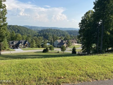 (private lake, pond, creek) Lot For Sale in Kingsport Tennessee