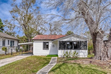 Charming St. Petersburg home located just minutes from Downtown - photo 3