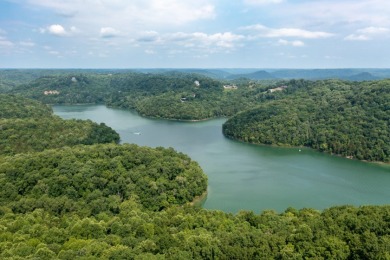 Fabulous Center Hill Lake View Lot - Lake Acreage For Sale in Sneedville, Tennessee
