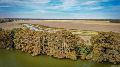 Exceptional development opportunity just 15 minutes from - photo 43